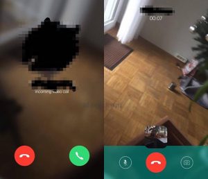 WhatsApp video telephony - Image: Macerkopf