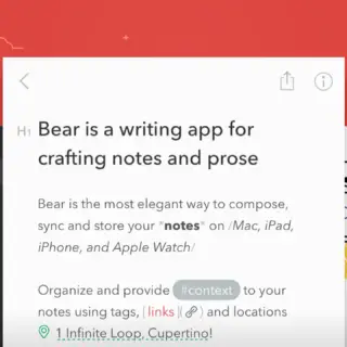Bear Notes