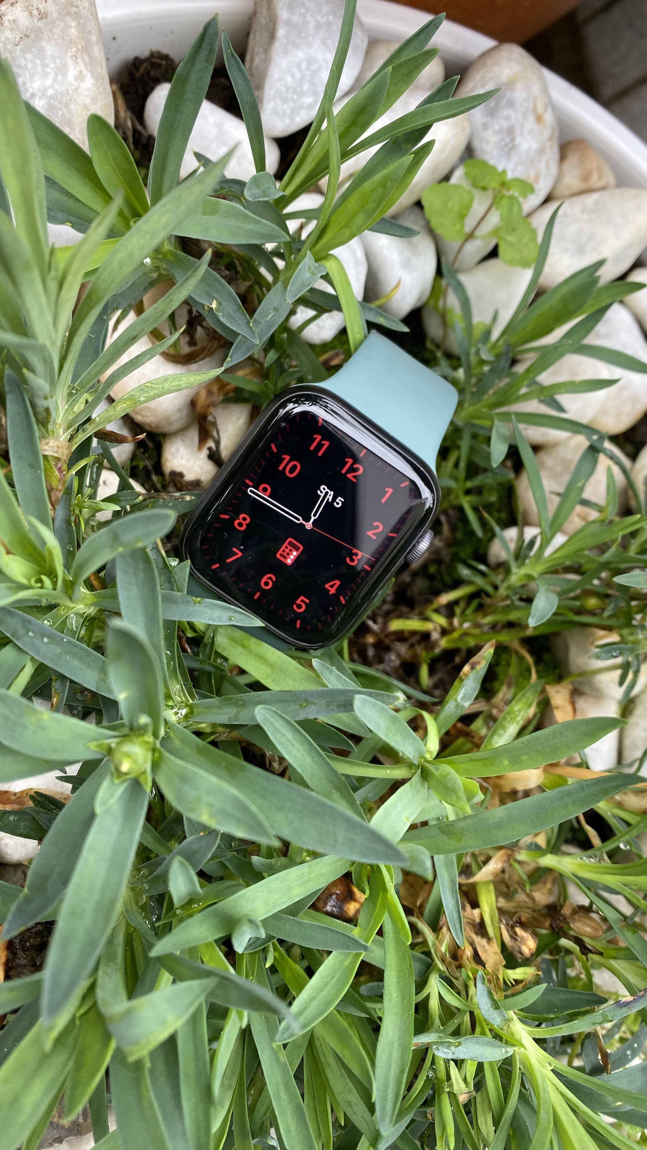 Apple Watch Series 5 review