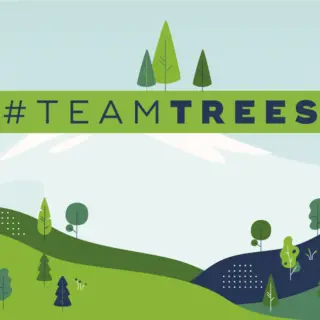 TeamTrees Spendenkampagne