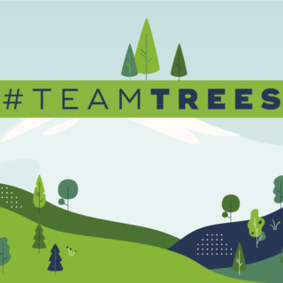 TeamTrees Spendenkampagne