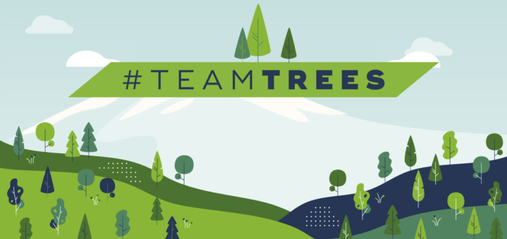 TeamTrees Spendenkampagne