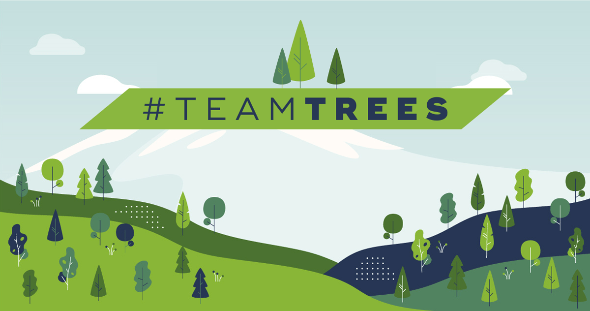 TeamTrees Spendenkampagne