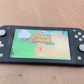 Animal Crossing: New Horizons