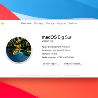 Apple macOS Big Sur Apple Silicon