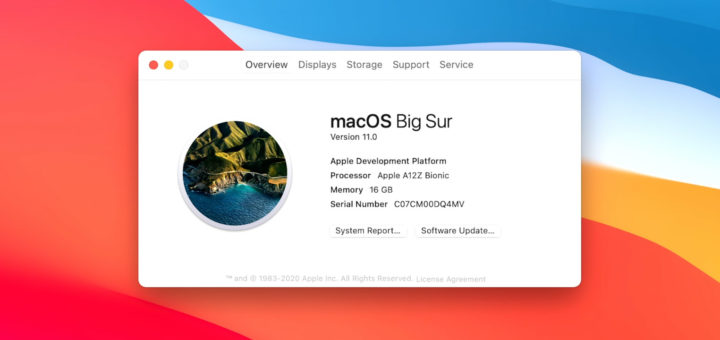 Apple macOS Big Sur Apple Silicon