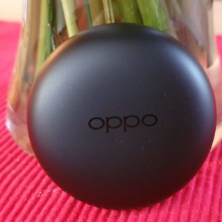 Oppo Enco W31 standing