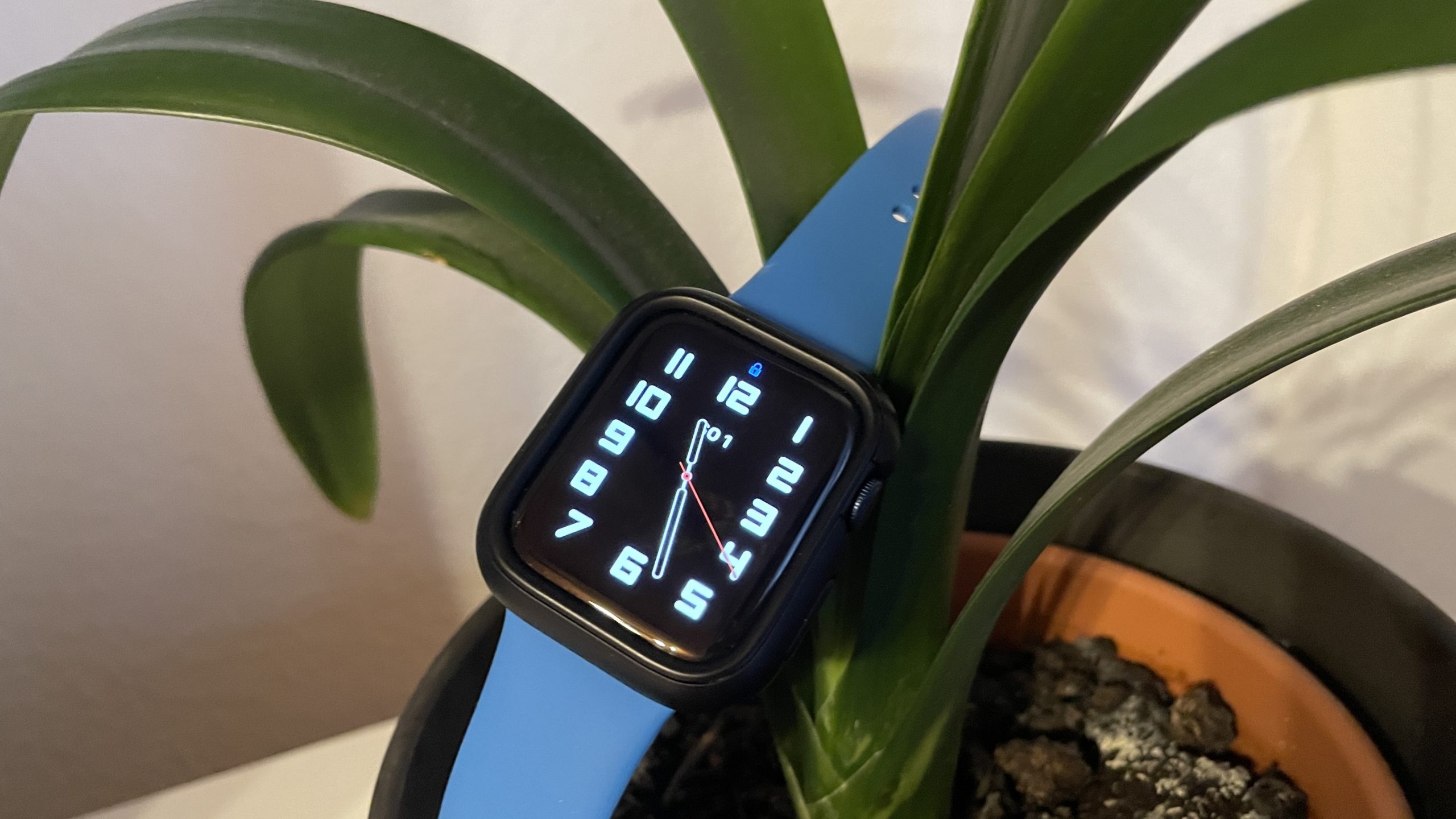 Apple Watch Series 6 cover picture