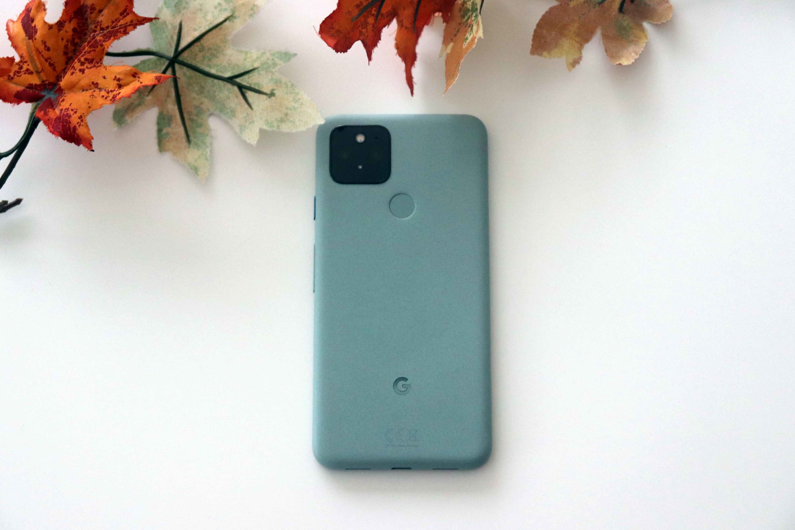 Google Pixel 5 back side