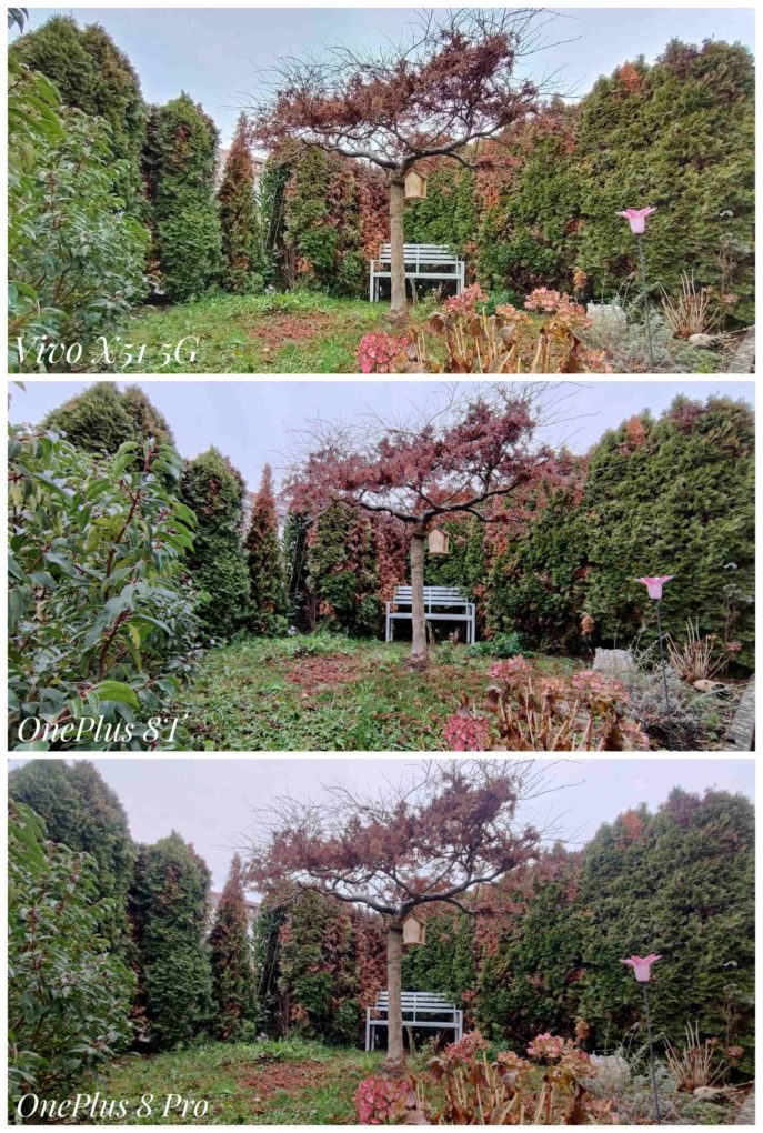 OnePlus 8T camera comparison