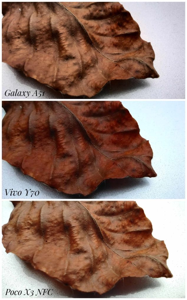 Vivo Y70 camera comparison