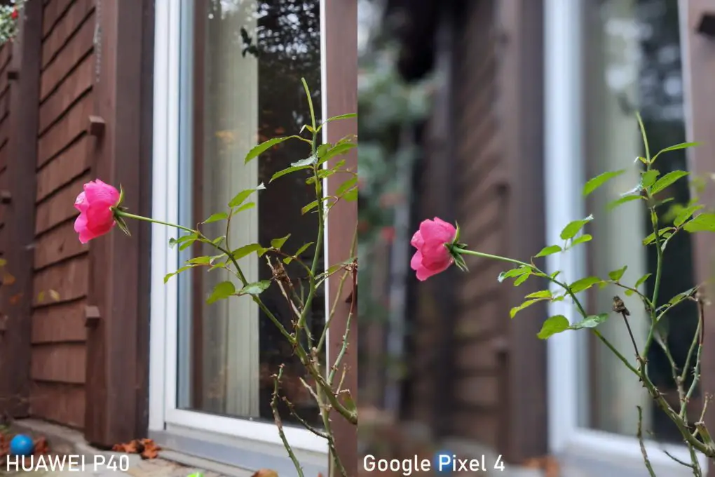 Google Pixel 4 vs. Huawei P40 camera comparison portrait mode