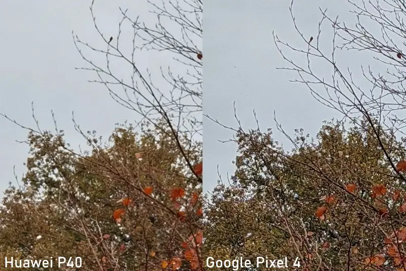 Google Pixel 4 vs. Huawei P40 Kameravergleich Schärfe (1)