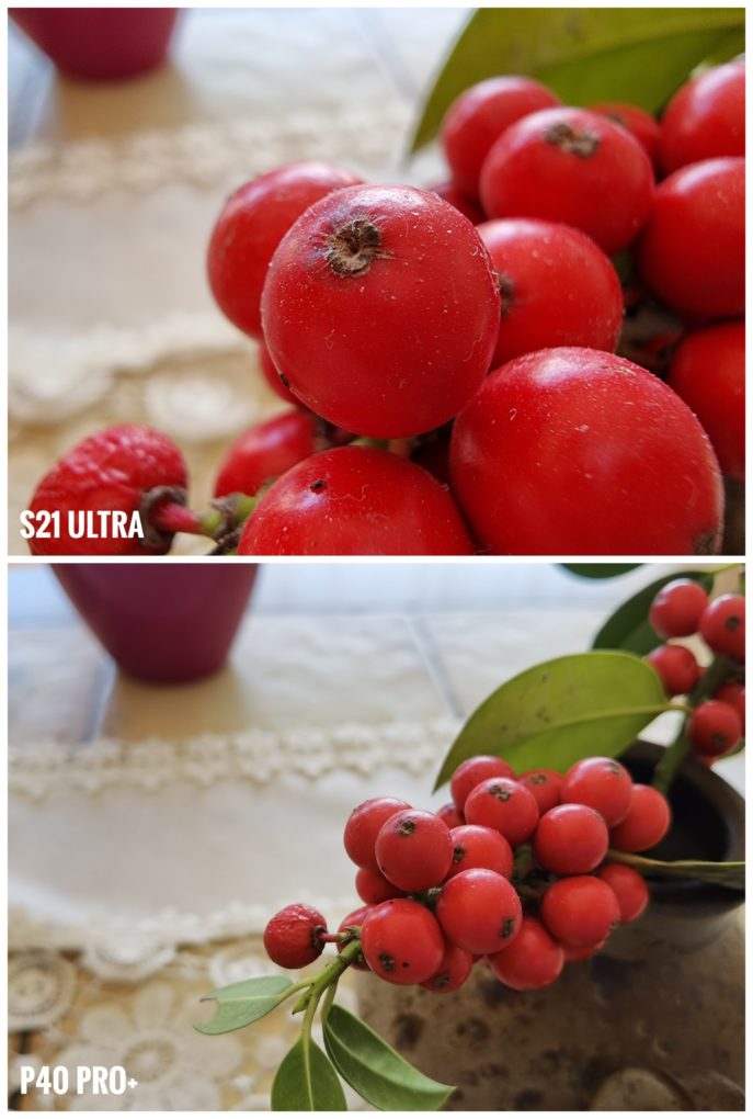 S21 Ultra vs P40 Pro+ Camera comparison