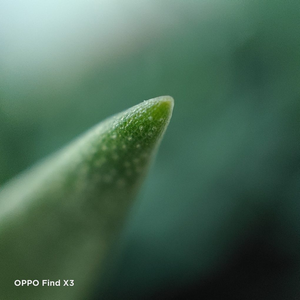 OPPO Find X3 microscope camera test photo