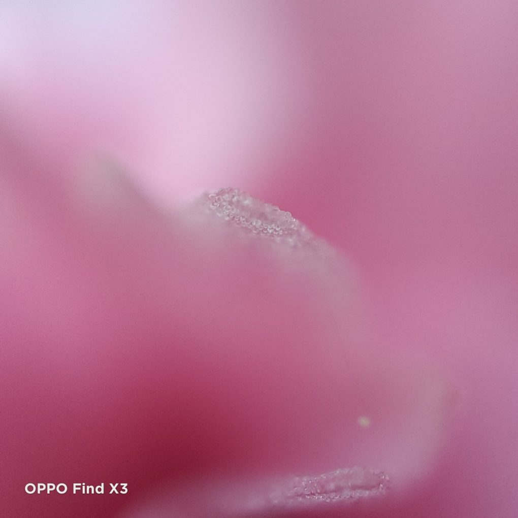 OPPO Find X3 microscope camera test photo