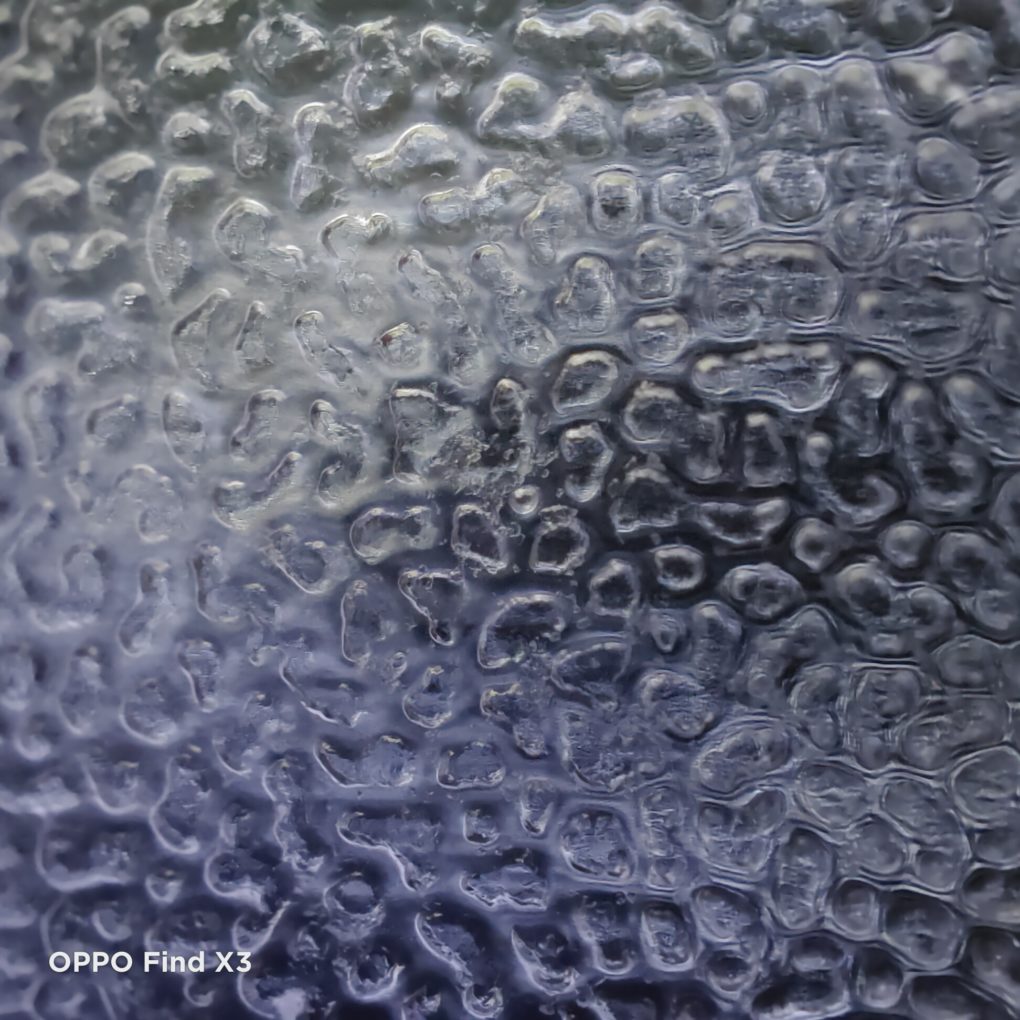 OPPO Find X3 microscope camera test photo