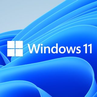 Windows 11