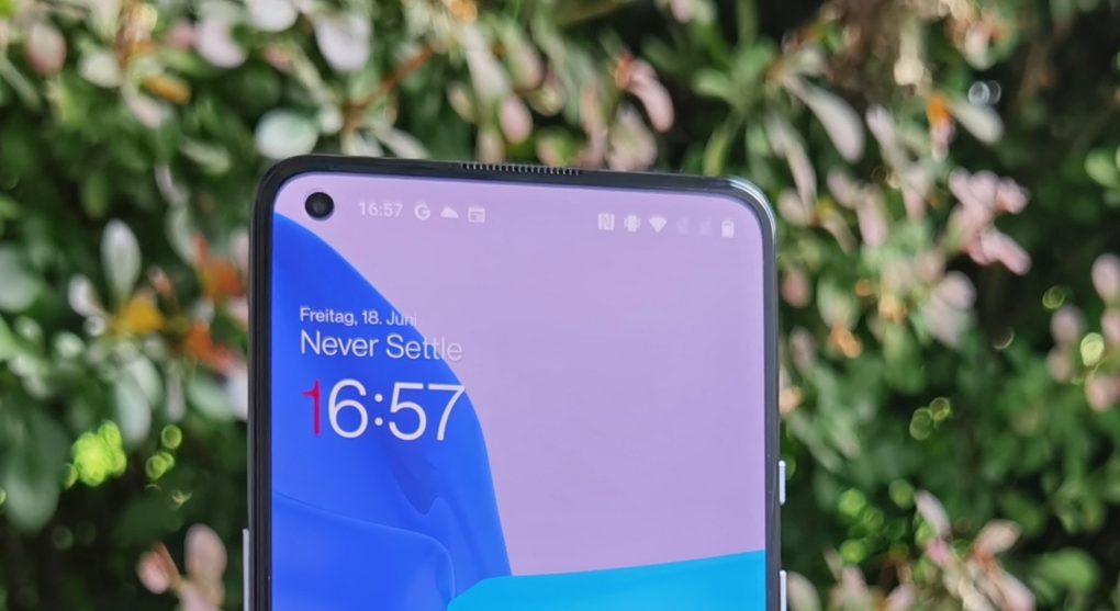 OnePlus 9 Display