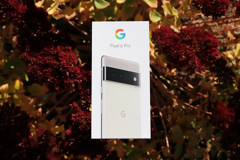 Google Pixel 6 Pro Unboxing