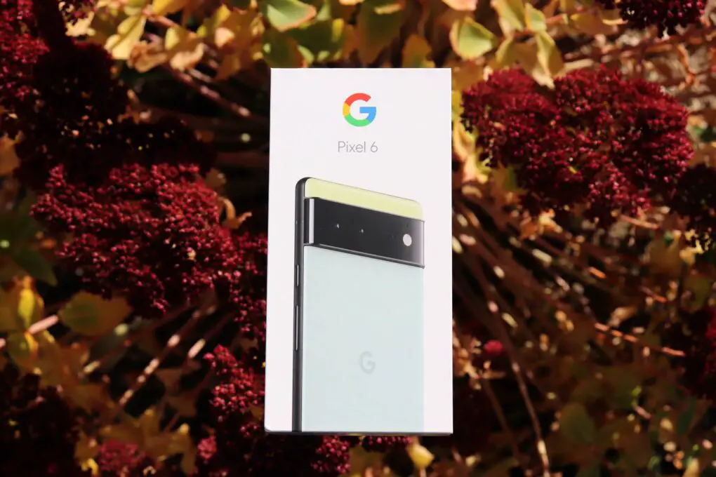 Google Pixel 6 unboxing