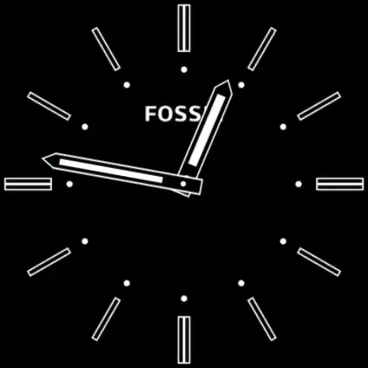 Fossil Gen 6 Smartwatch Software