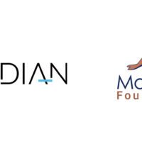 Plesk Obsidian MariaDB Logo