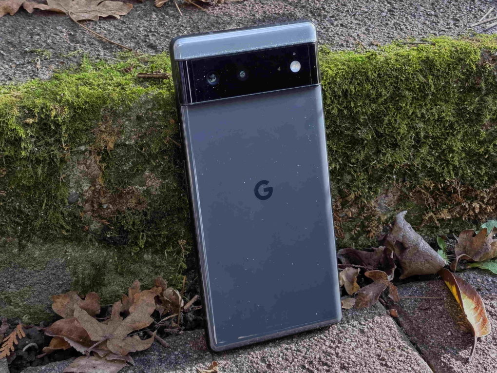 Google Pixel 6 back side