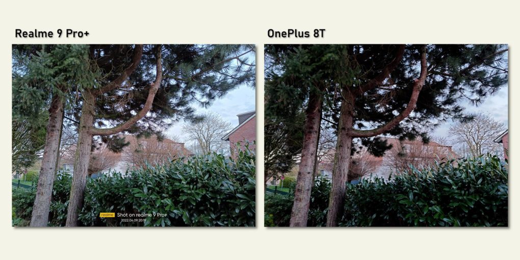 Realm 9 Pro Plus camera comparison OnePlus 8T