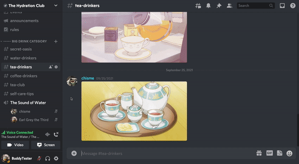 Discord voice chat text area