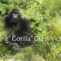 Samsung Galaxy S23 Gorilla Glass Victus 2 featured image