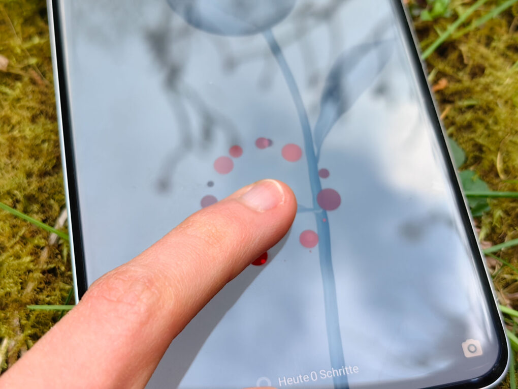 Vivo X200 Pro Fingerabdrucksensor