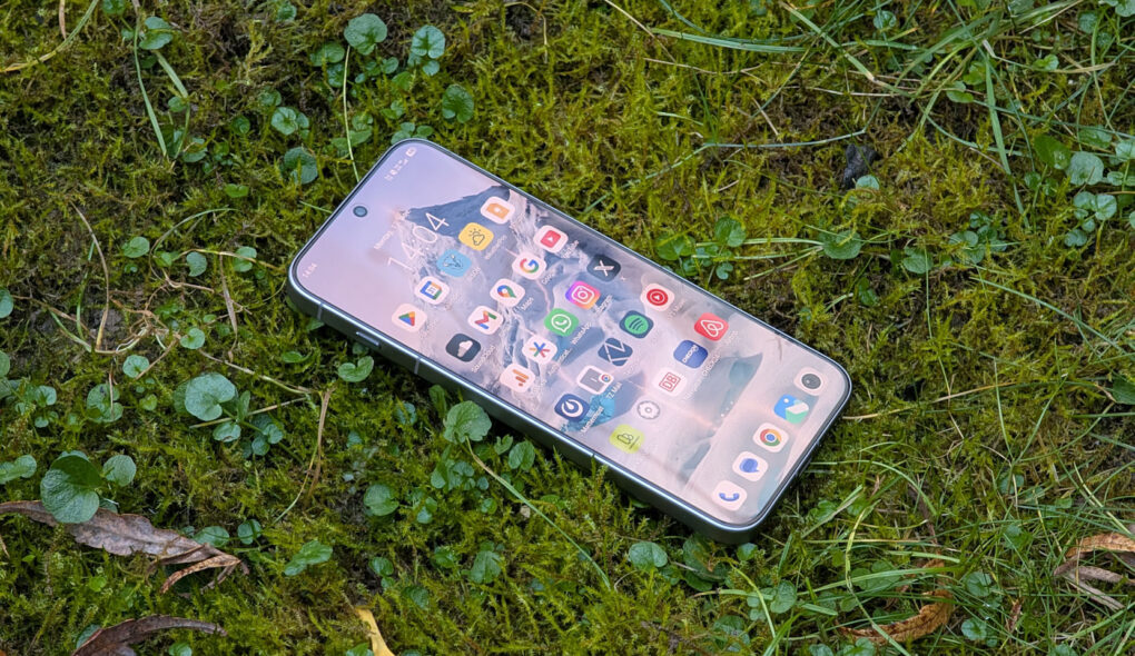 Vivo X300 Pro Display