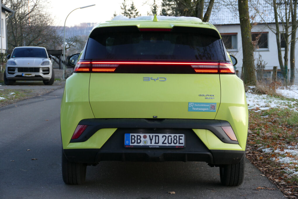 BYD Dolphin Surf Heck