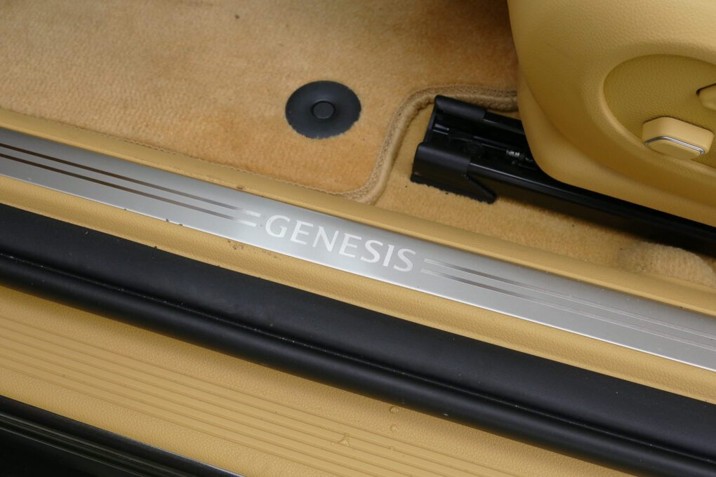 Genesis GV60 Einstiegsleiste