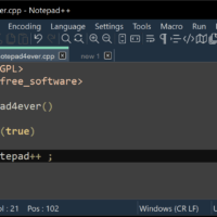 Ein Textfeld von Notepad++