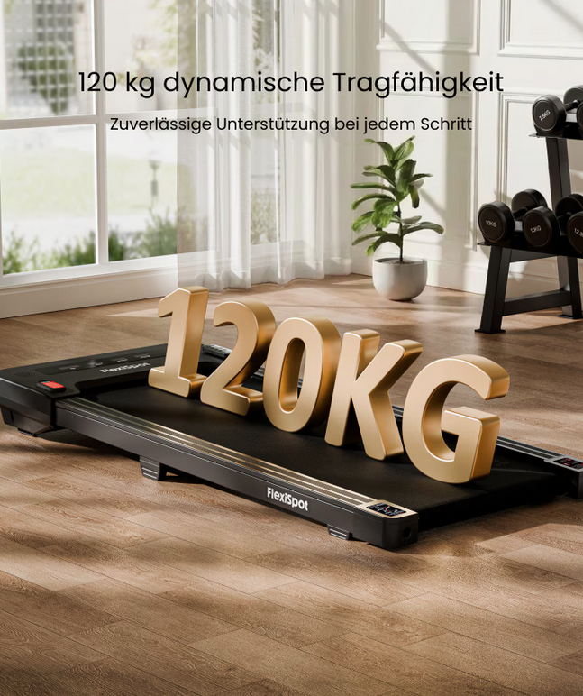 FlexiSpot Motion X Gewicht