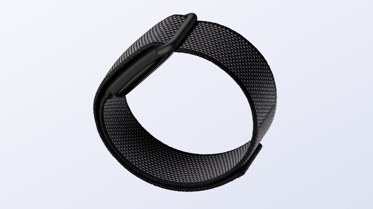 Das Google Fitbit Air in "Obsidian"